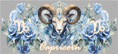 16oz Latest Bestseller-C 4249